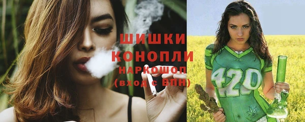 прущие грибы Пестово