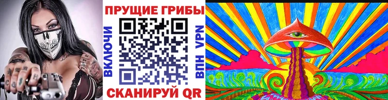 Псилоцибиновые грибы мицелий  Новоульяновск 
